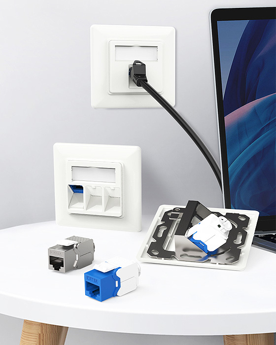 80 Type Network RJ45 Faceplate