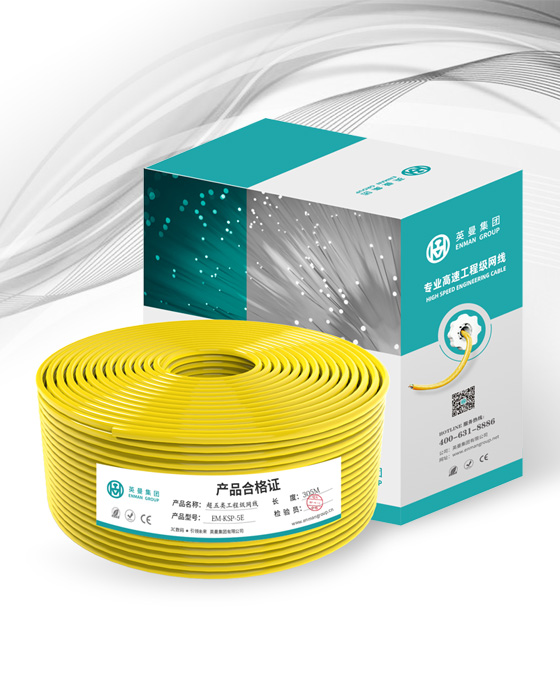 超五類-專業家裝工程網線